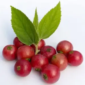 Strawberry Tree/Jamaican Cherry (Muntingia Calabura