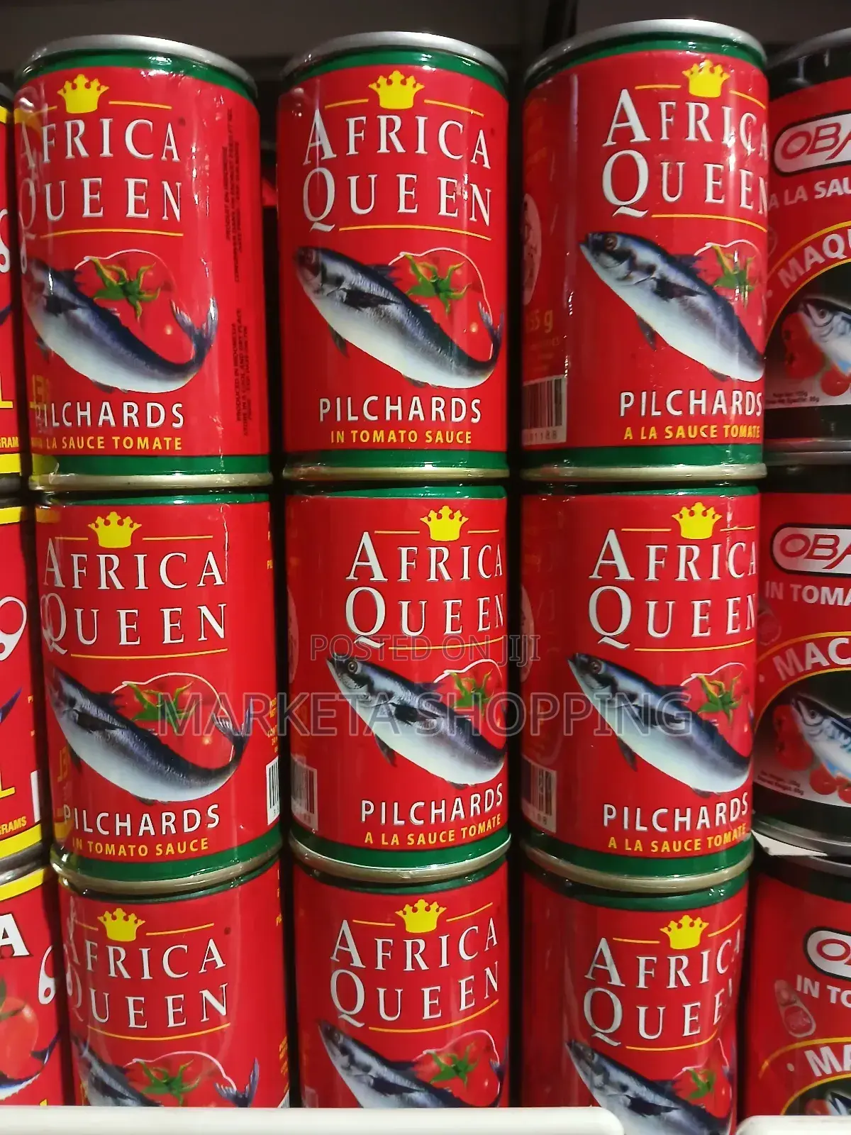 African Queen Mackerel 155gx50
