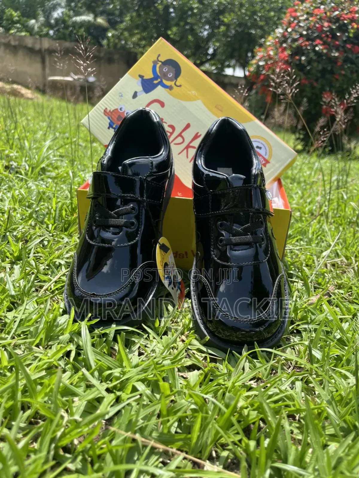 Puree Leather Boys School Shoes