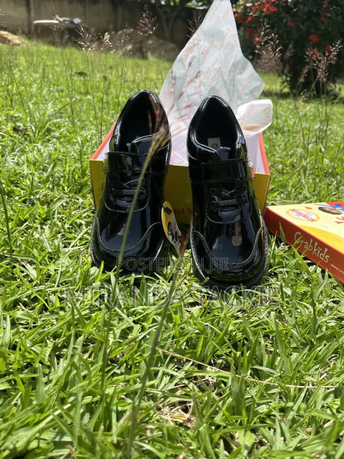 Puree Leather Boys School Shoes