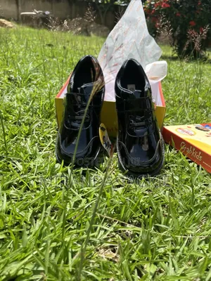 Puree Leather Boys School Shoes