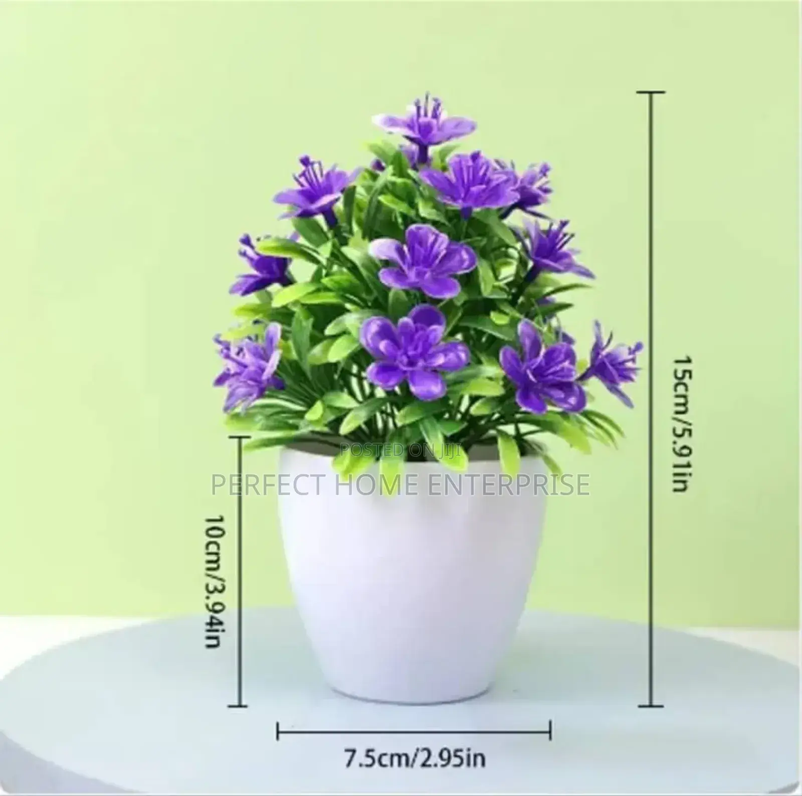 Pot Flowers