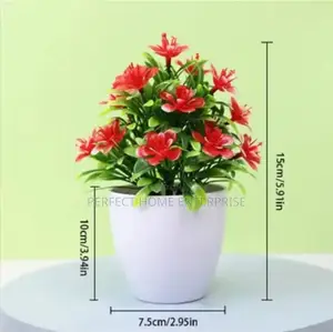 Pot Flowers