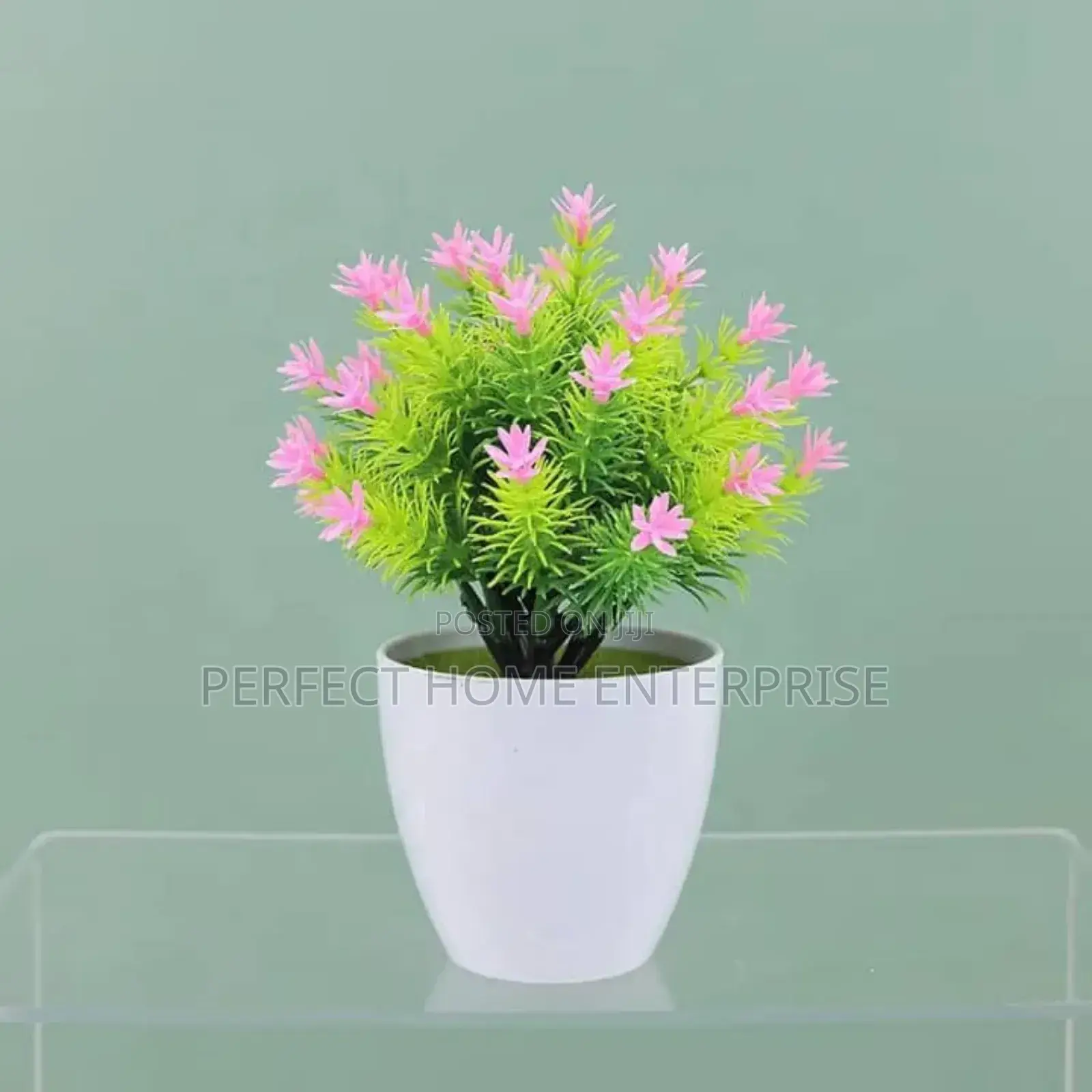 Pot Flowers