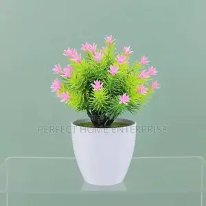 Pot Flowers
