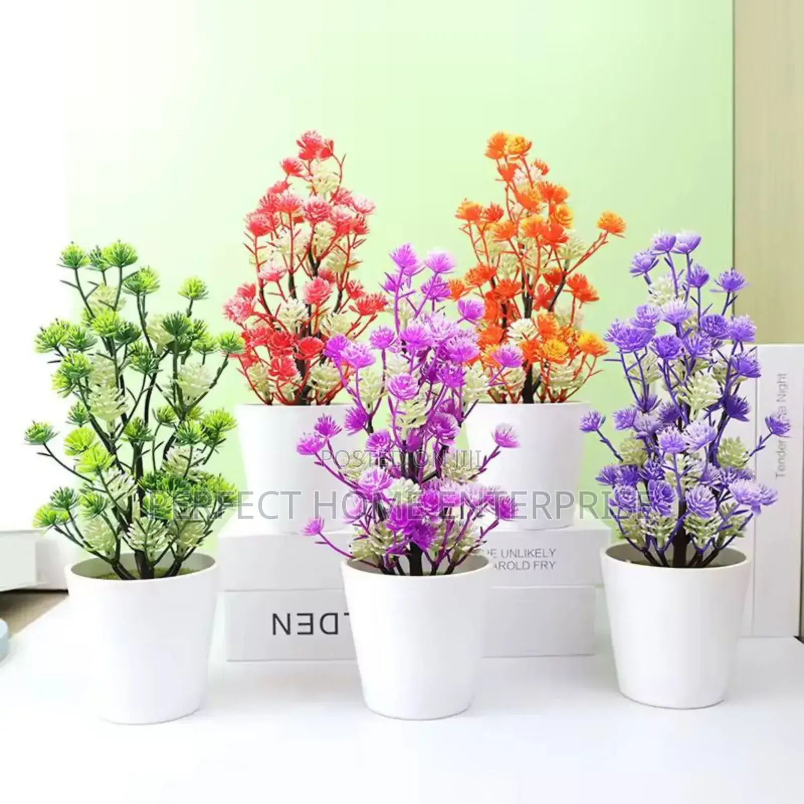 Pot Flowers