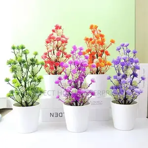Pot Flowers