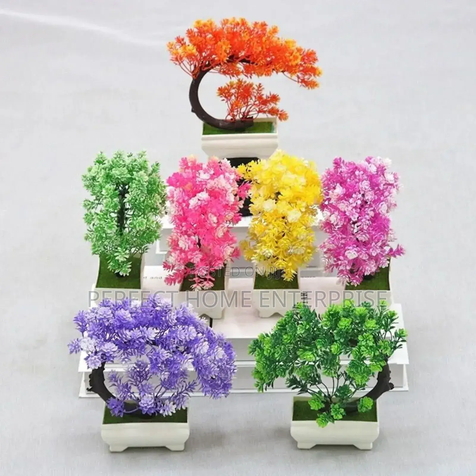 Pot Flowers