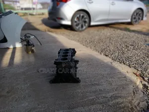 Kia and Hyndai Engine