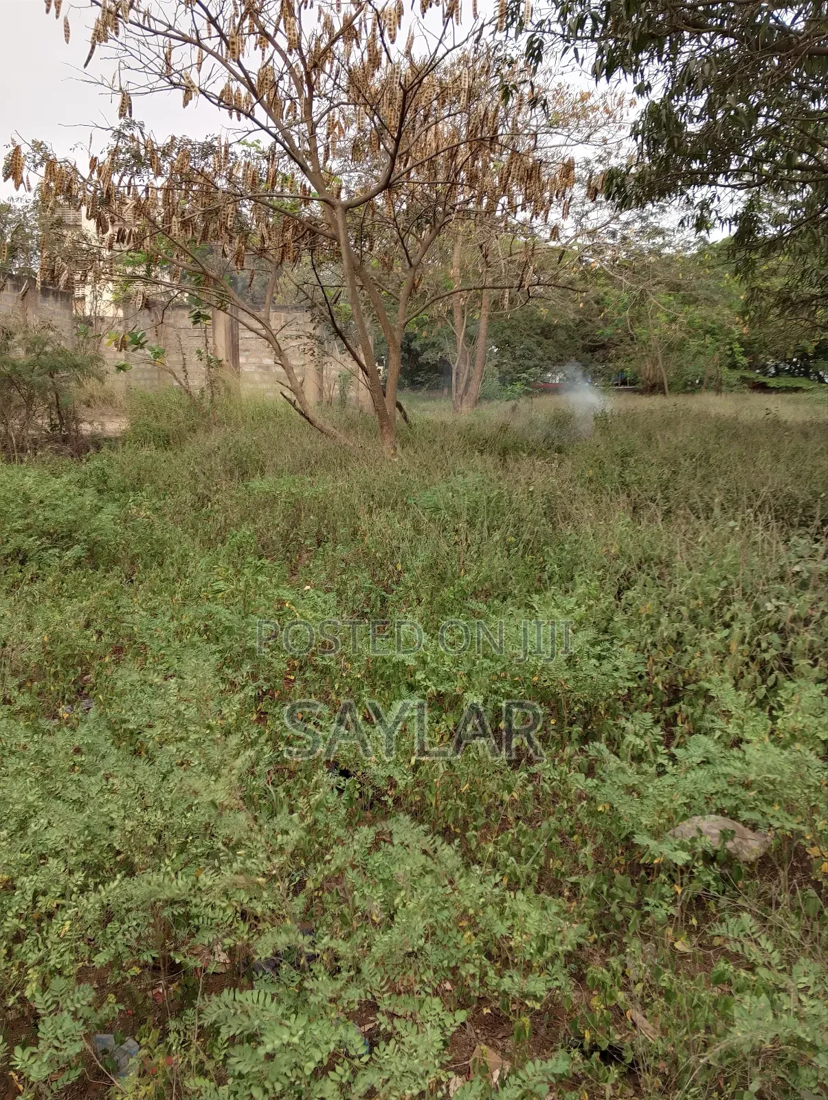 1 Acre Lentil Reach Building Uncompleted Structure for Sale Comm2