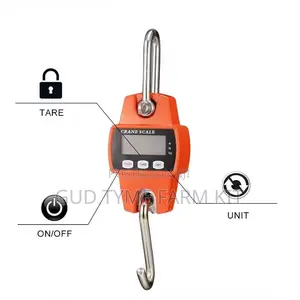 Veidt Ocs-l Portable Crane Scale 300kg