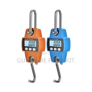 Veidt Ocs-l Portable Crane Scale 300kg