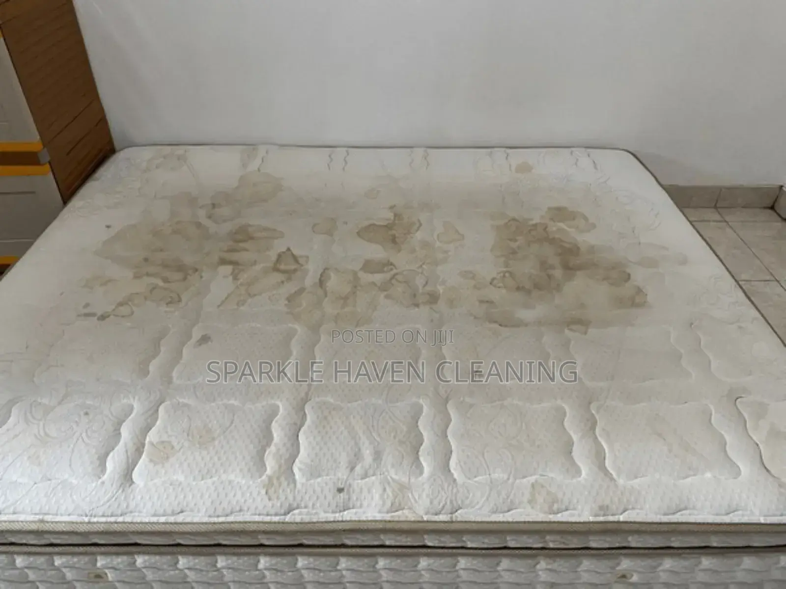 Upholstery and Mattress Cleaning