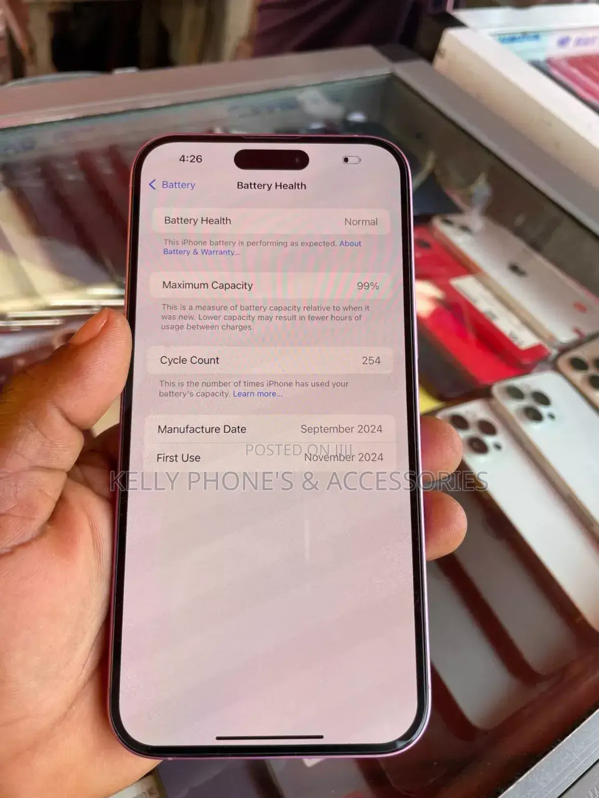 Apple iPhone 16 Plus 256 GB Pink