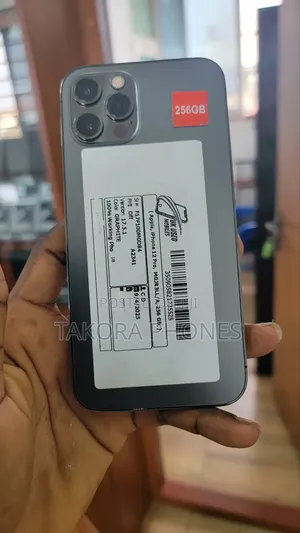 Apple iPhone 12 Pro 256 GB Gray