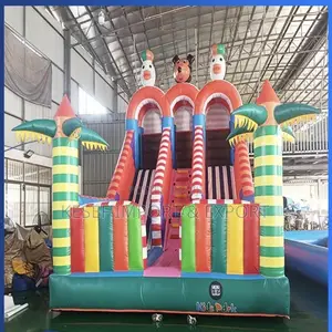 Bouncing Castle Large Size