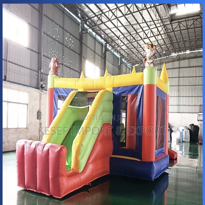 Bouncing Castle Large Size