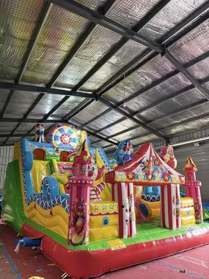 Bouncing Castle Large Size
