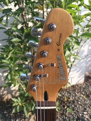 Cruiser by Crafter Strat Style With Padded Bag