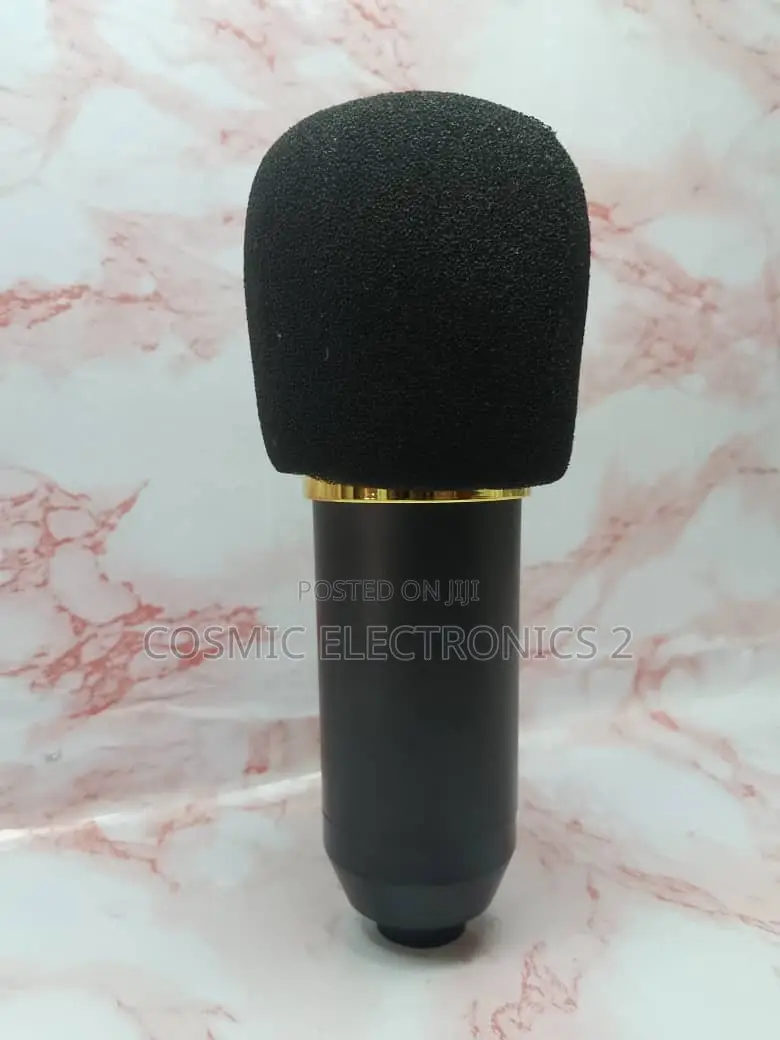 High Quality Condenser Microphone