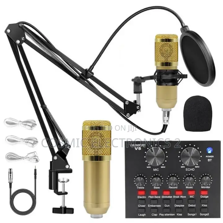 High Quality Condenser Microphone