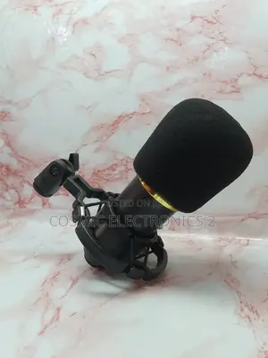 High Quality Condenser Microphone