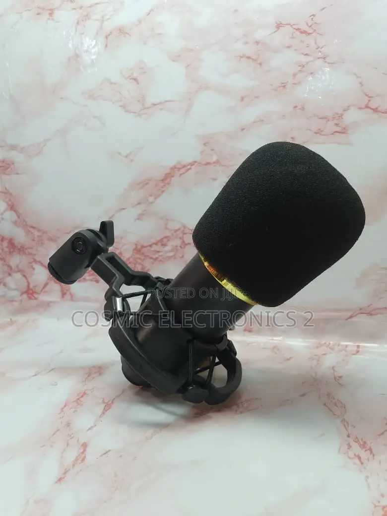 High Quality Condenser Microphone