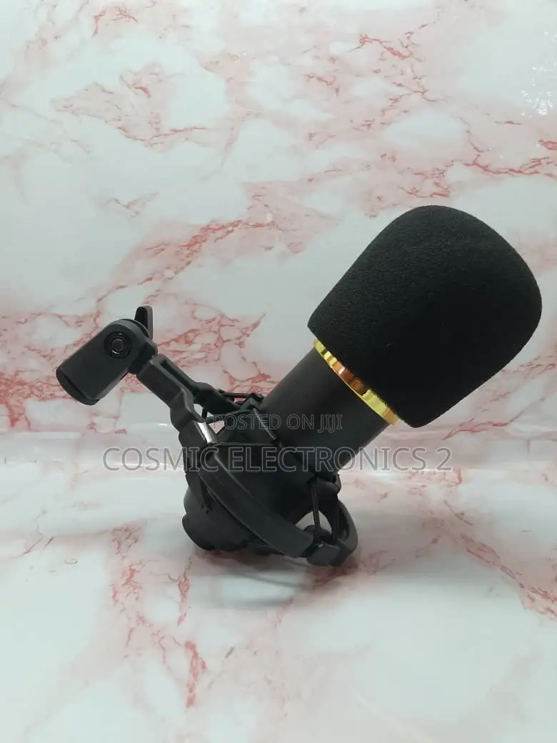 High Quality Condenser Microphone