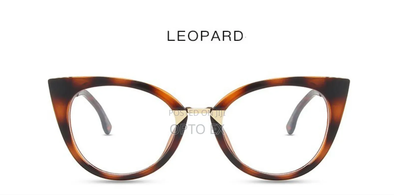Ladies Fashion Glasses