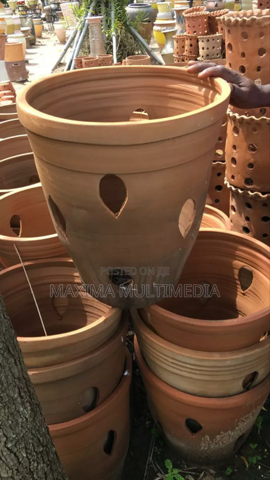Flower Pots