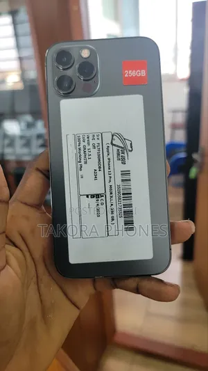 Apple iPhone 12 Pro 256 GB Gray