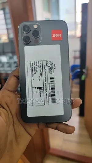 Apple iPhone 12 Pro 256 GB Gray