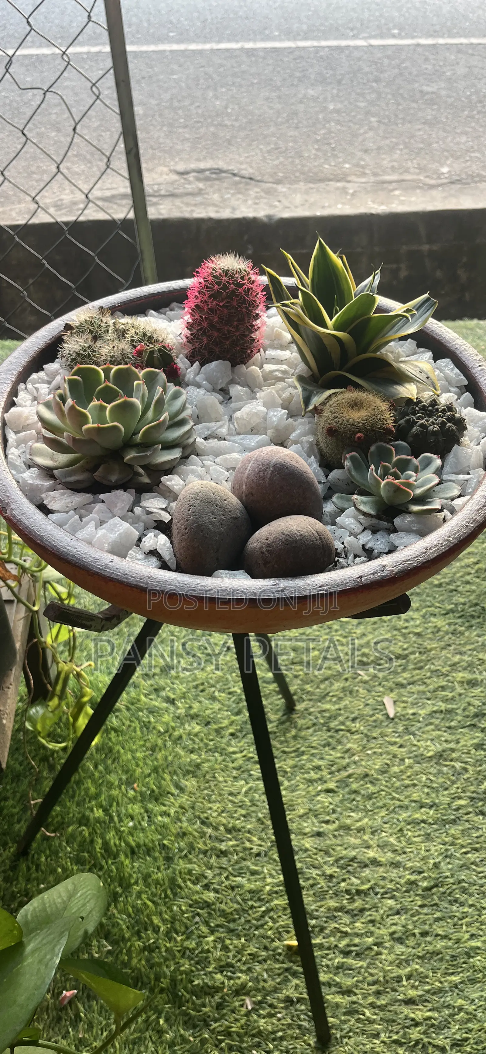 Cactus Dish Set for Sale