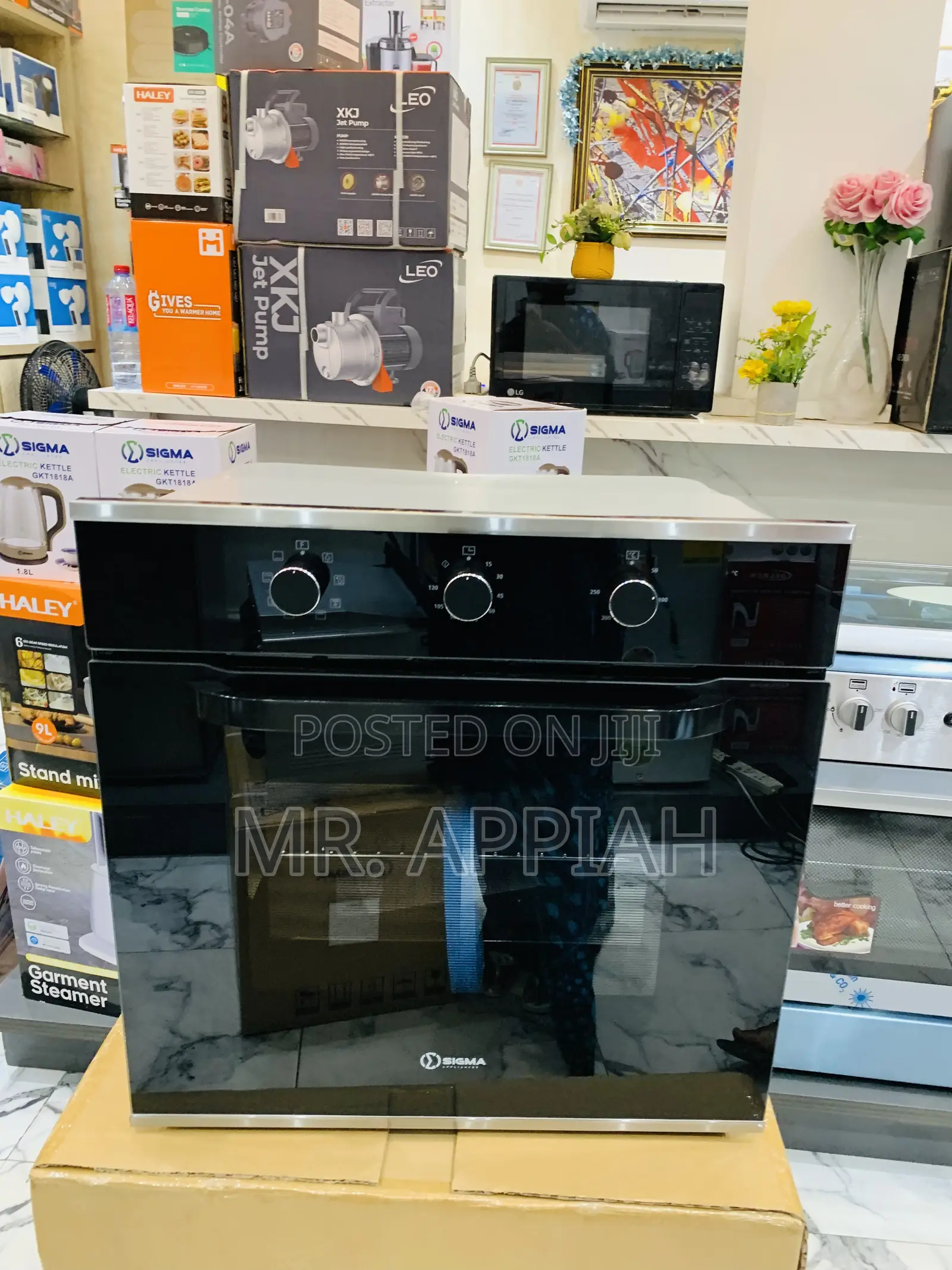 Quality Yet Affordable Sigma Sig-Bio-65m80-11 Built in Oven 