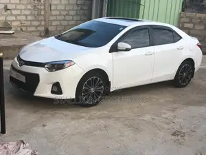 Car For Rent