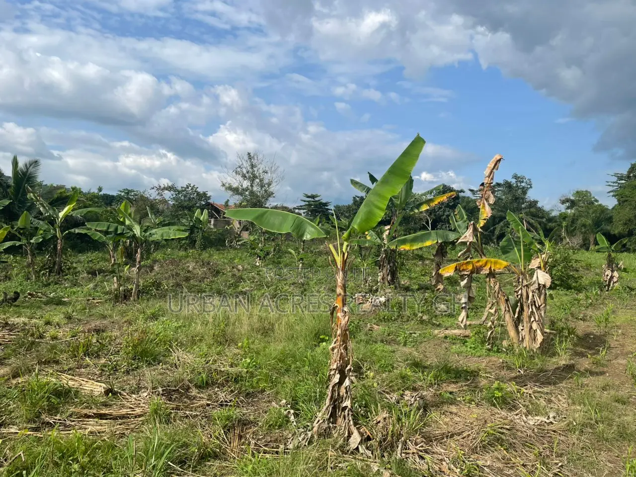 Volta Region, (Peki) _ 2 Plots Building Land