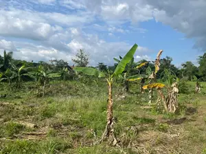 Volta Region, (Peki) _ 2 Plots Building Land