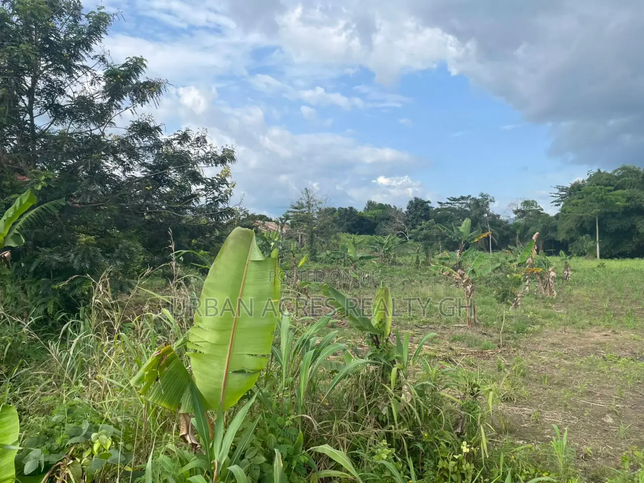 Volta Region, (Peki) _ 2 Plots Building Land