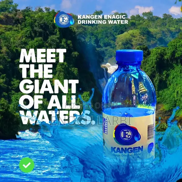 Choose Kangen Alkaline Water, Choose Wellness! (24*500ml) in Accra