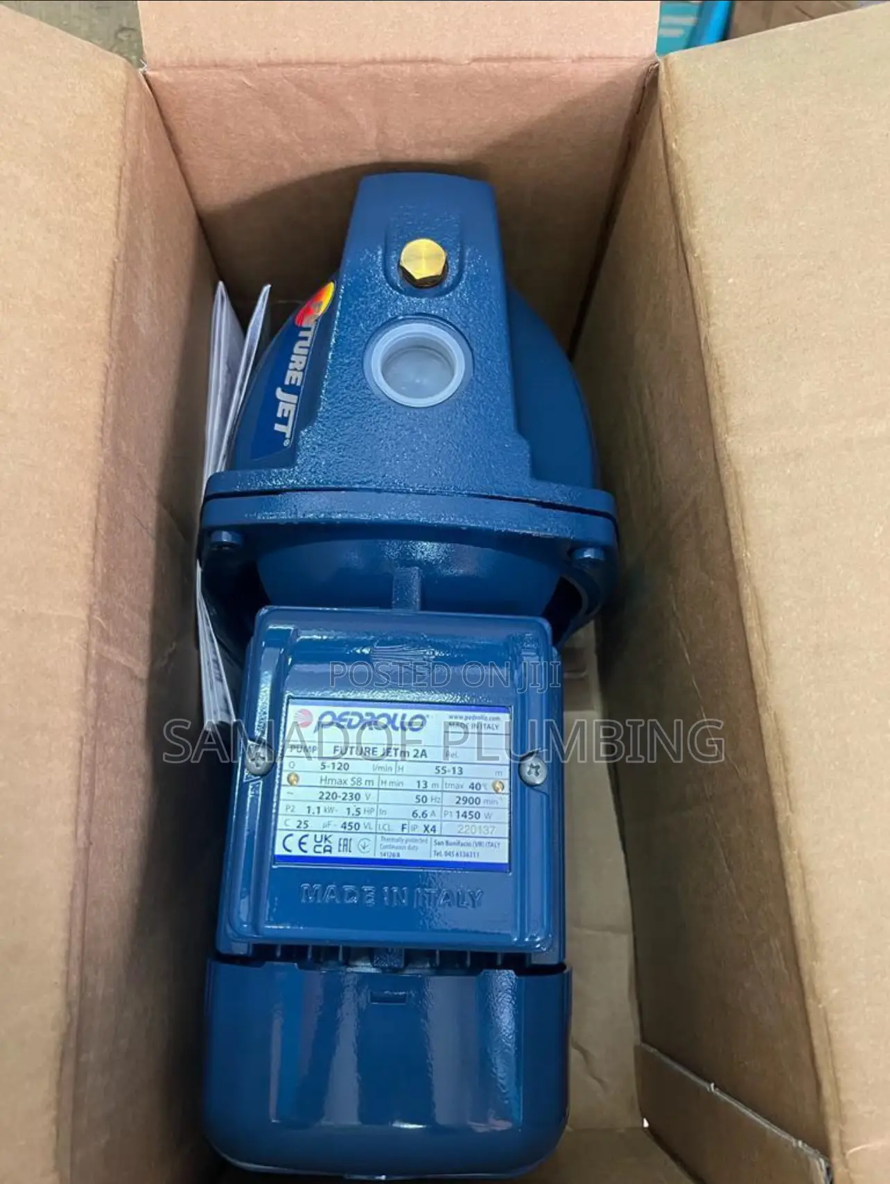 Pedrollo Water Pumps