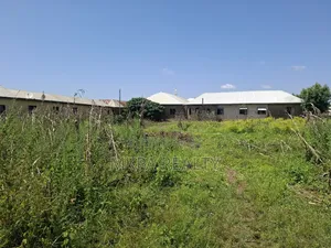 A Big Plot in Tamale, Gbewa Area for Sale