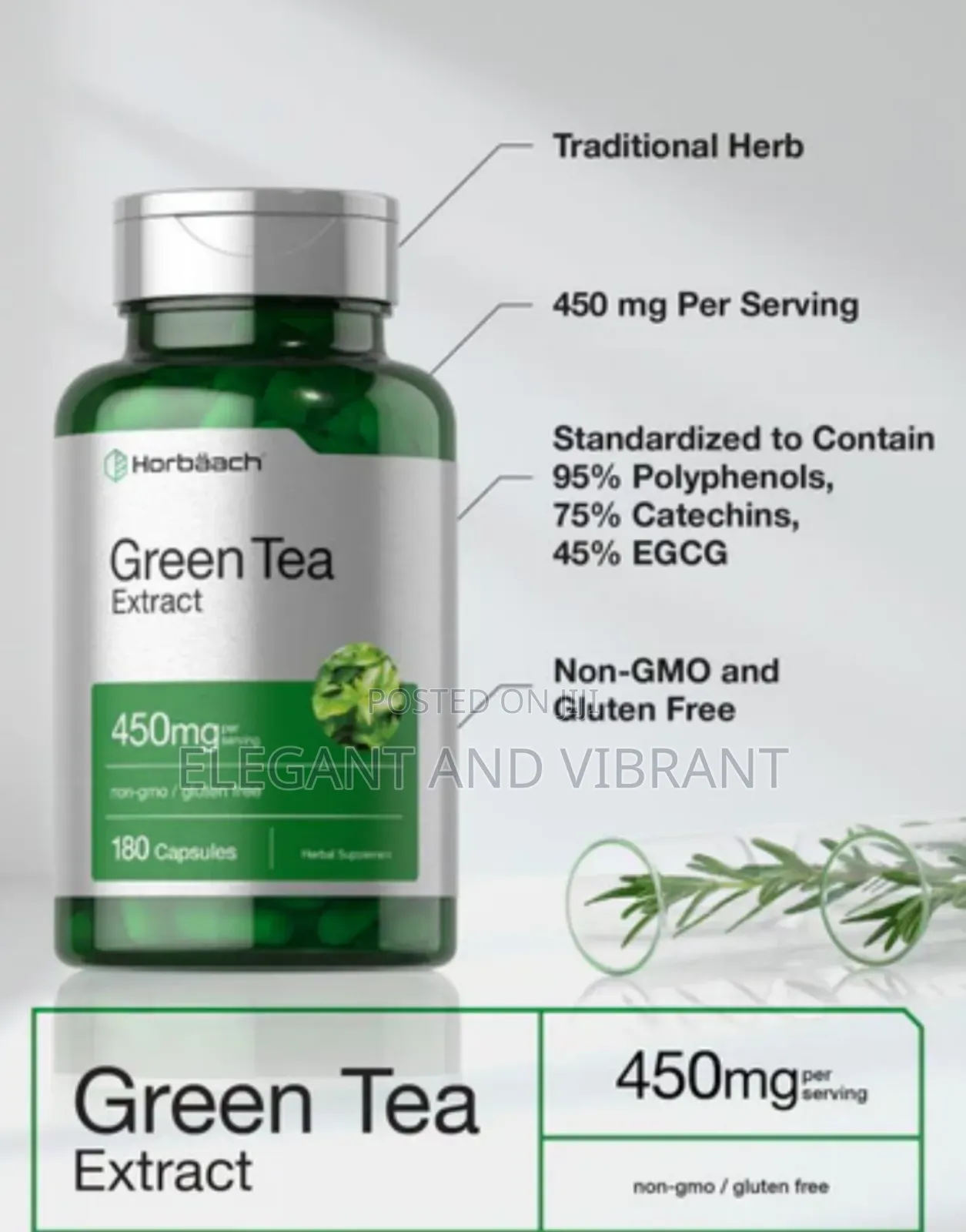 Green Tea Extract 450mg Per Serving | 180 Capsules