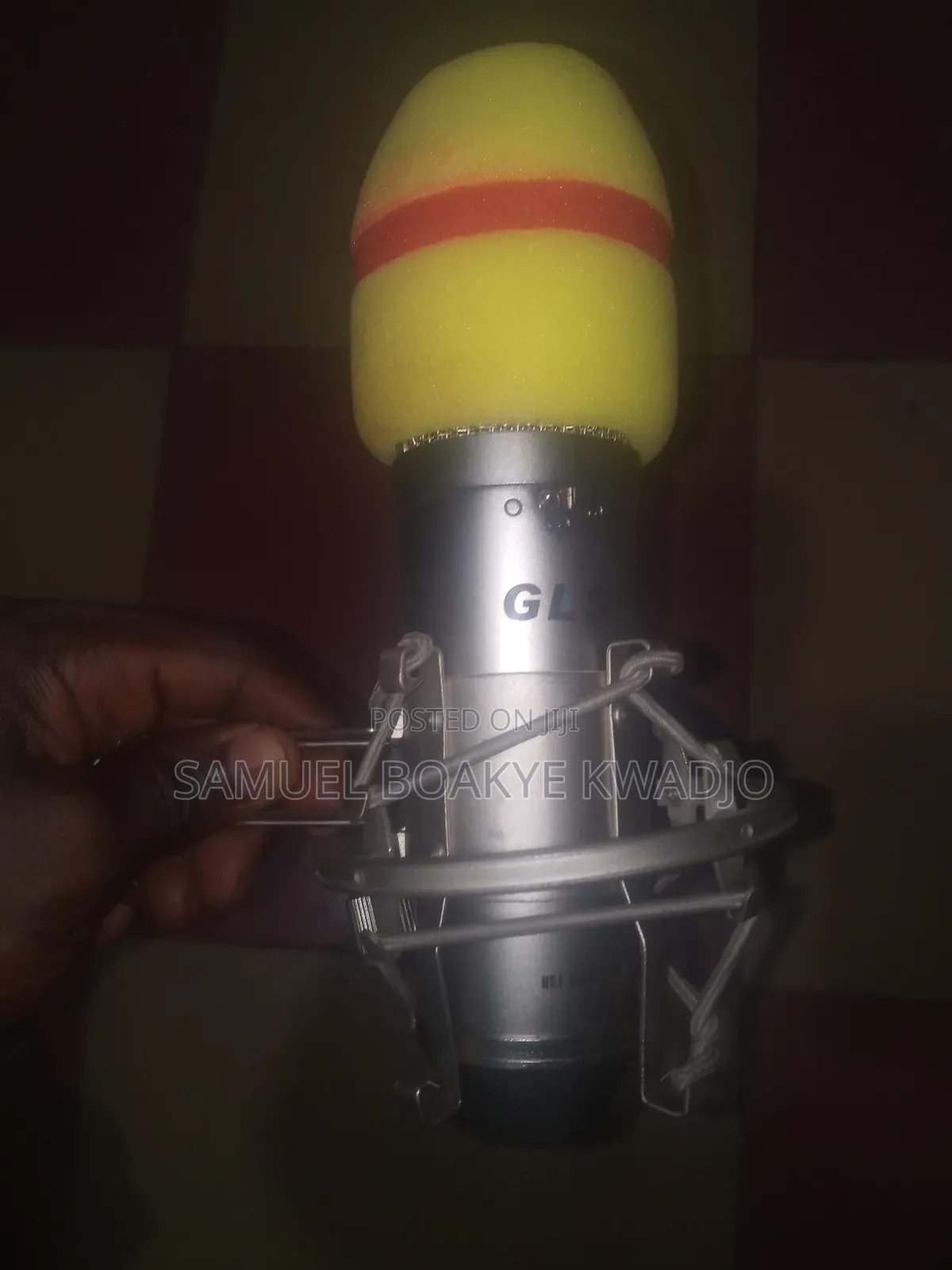 GLS Condenser Microphone(Slightly Used)