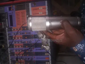GLS Condenser Microphone(Slightly Used)