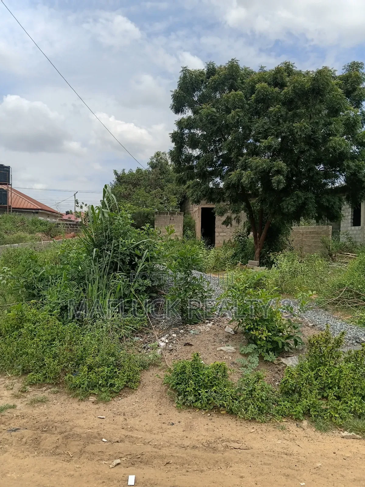 Half Plot at Lakeside