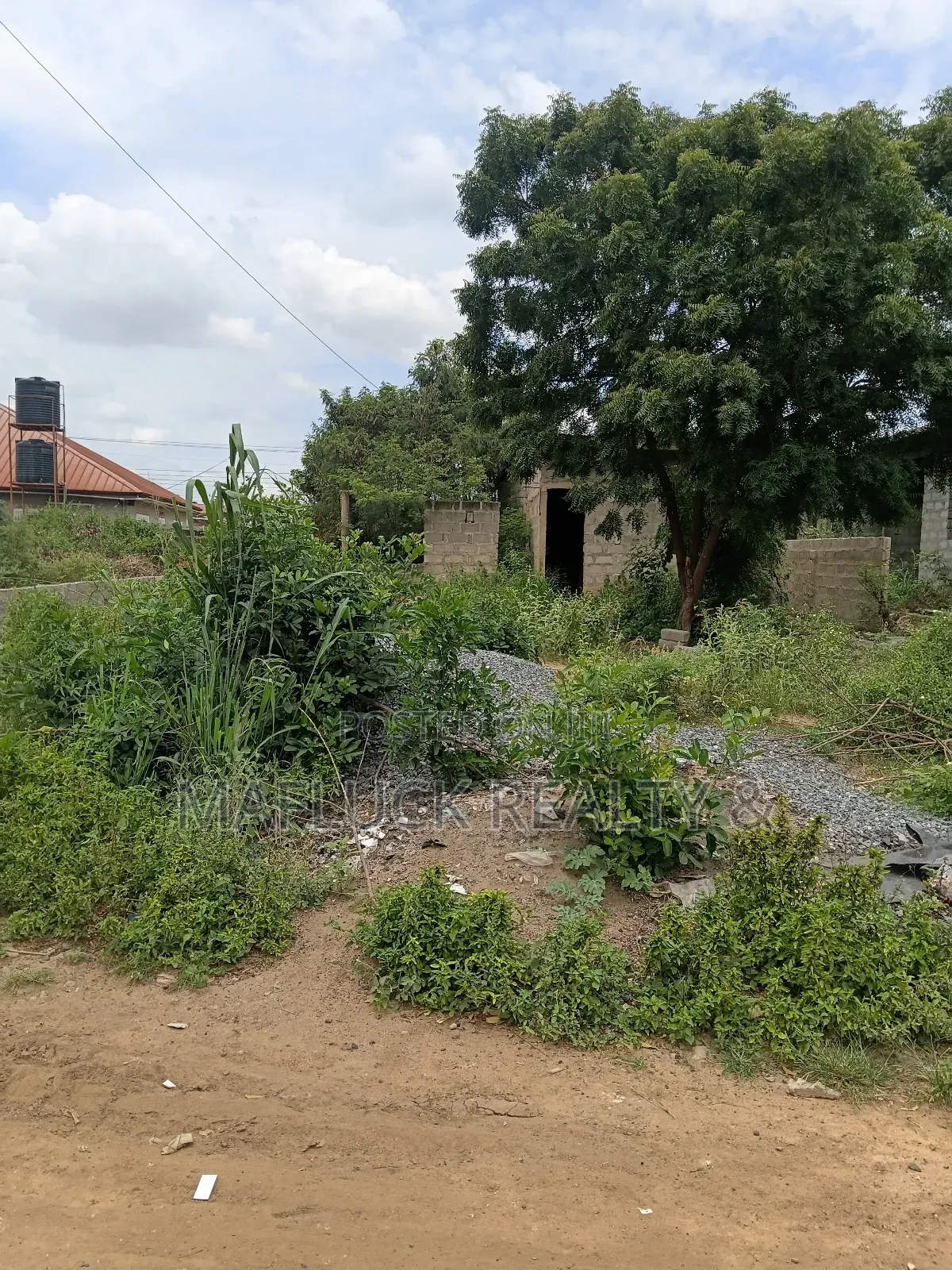 Half Plot at Lakeside