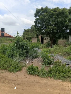 Half Plot at Lakeside