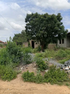 Half Plot at Lakeside