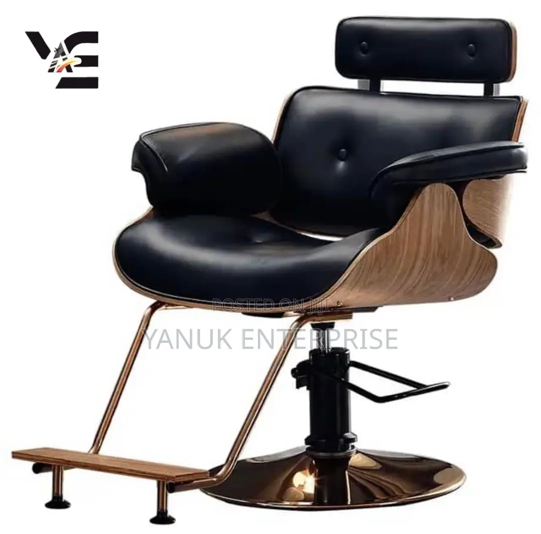 Salon Chair