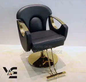 Salon Chair